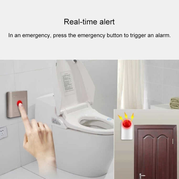 CW-01 Wireless Disabled Toilet Alarm Call Button Set CW-01 Wireless Disabled Toilet Alarm Call Button Set